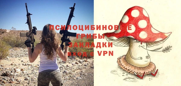 ешки Алексин