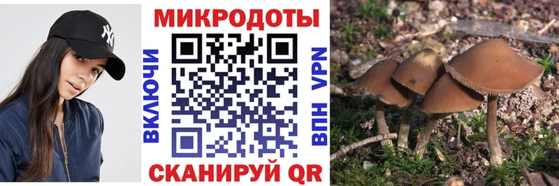 как найти наркотики  Нефтегорск  Галлюциногенные грибы прущие грибы 