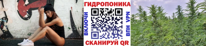 МАРИХУАНА ГИДРОПОН Нефтегорск